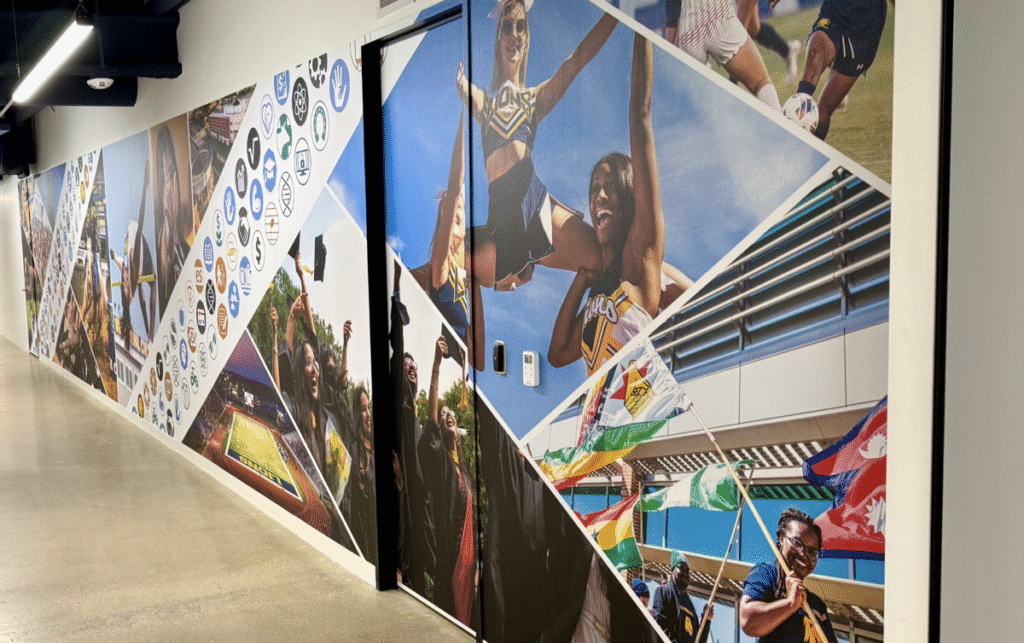 Custom Wall Coverings